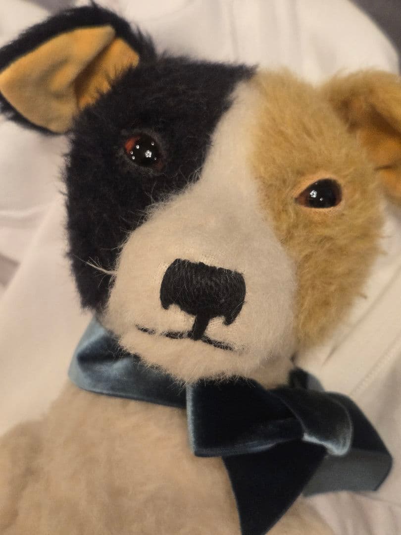 大國早苗さんの 犬のぬいぐるみ。