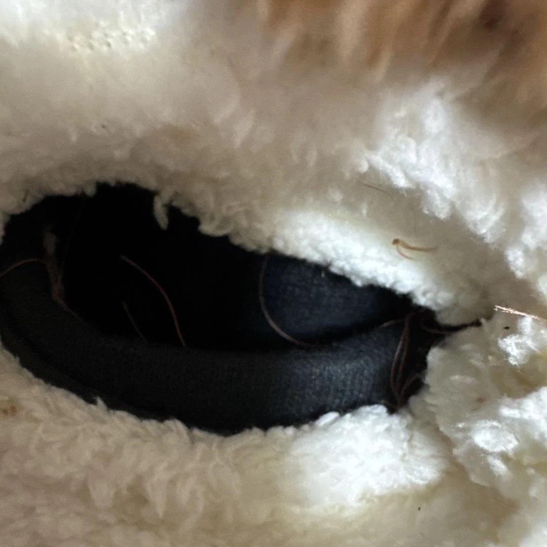 希少 harley-davidson ハーレー　ティディベア　ぬいぐるみ　バイク