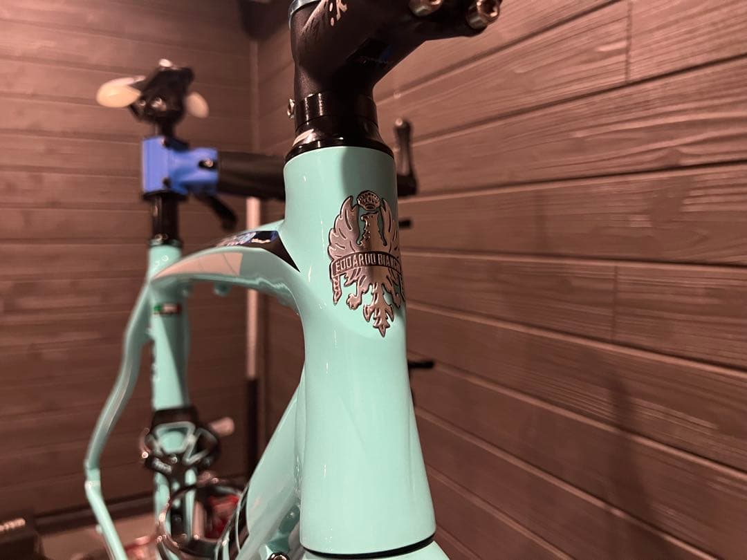 Bianchi IMPULSO 2019 53size フレーム