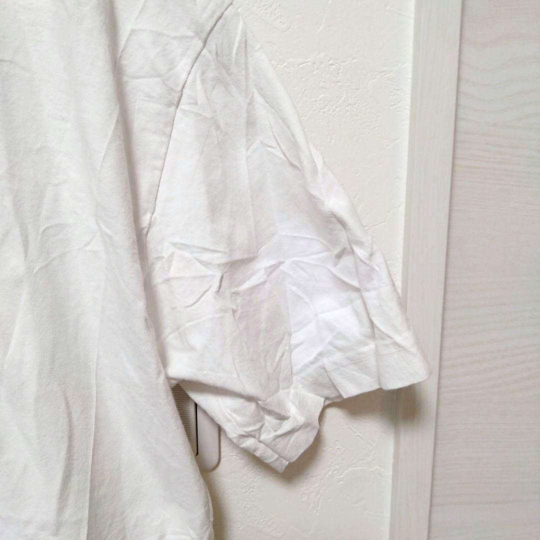 希少【М】ロザリア ポメラニアン Tシャツ モトマミ 犬T　Rosalía