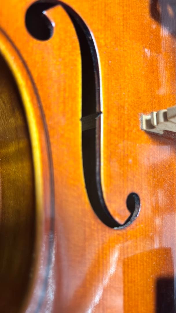 SUZUKI No.2 ヴィオラ【made in japan】