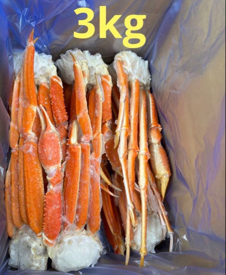 saku　3キロ　本ズワイガニ