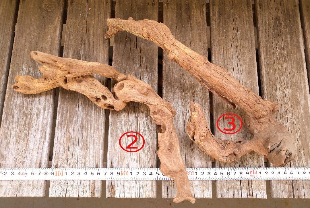 アクアリウム用品　レイアウト 良型 流木 Ｍ Ｌサイズ　７本セット