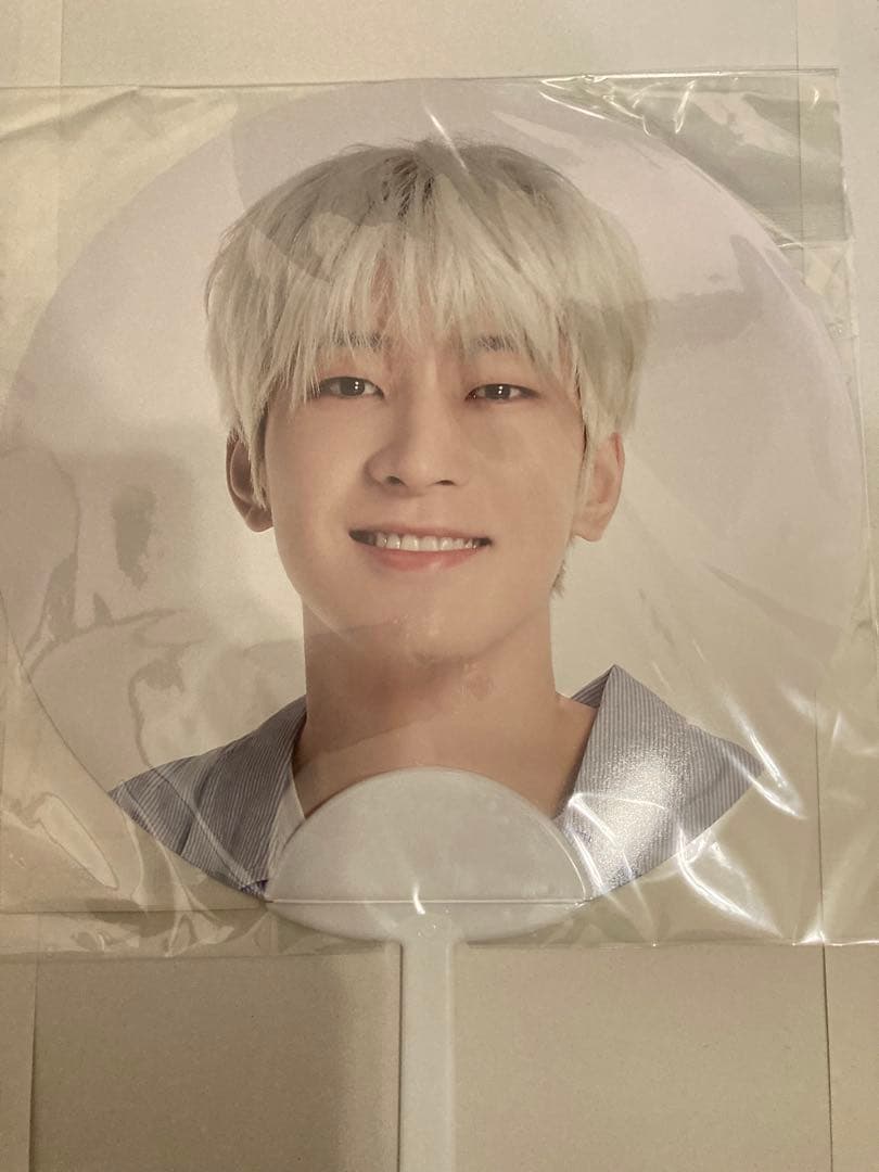 SEVENTEEN ウォヌ うちわ 9枚セット