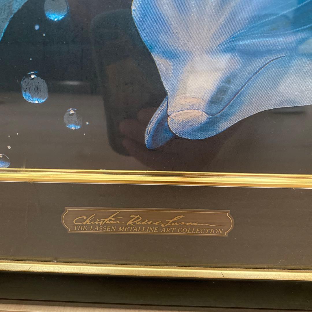 ラッセン　ポスター　イルカ　クリスチャンラッセン