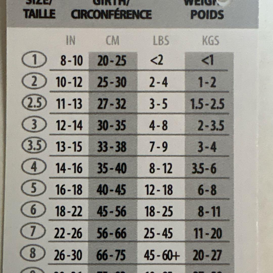 BUDDY BELT「バディーバハマ」 　　3,5号