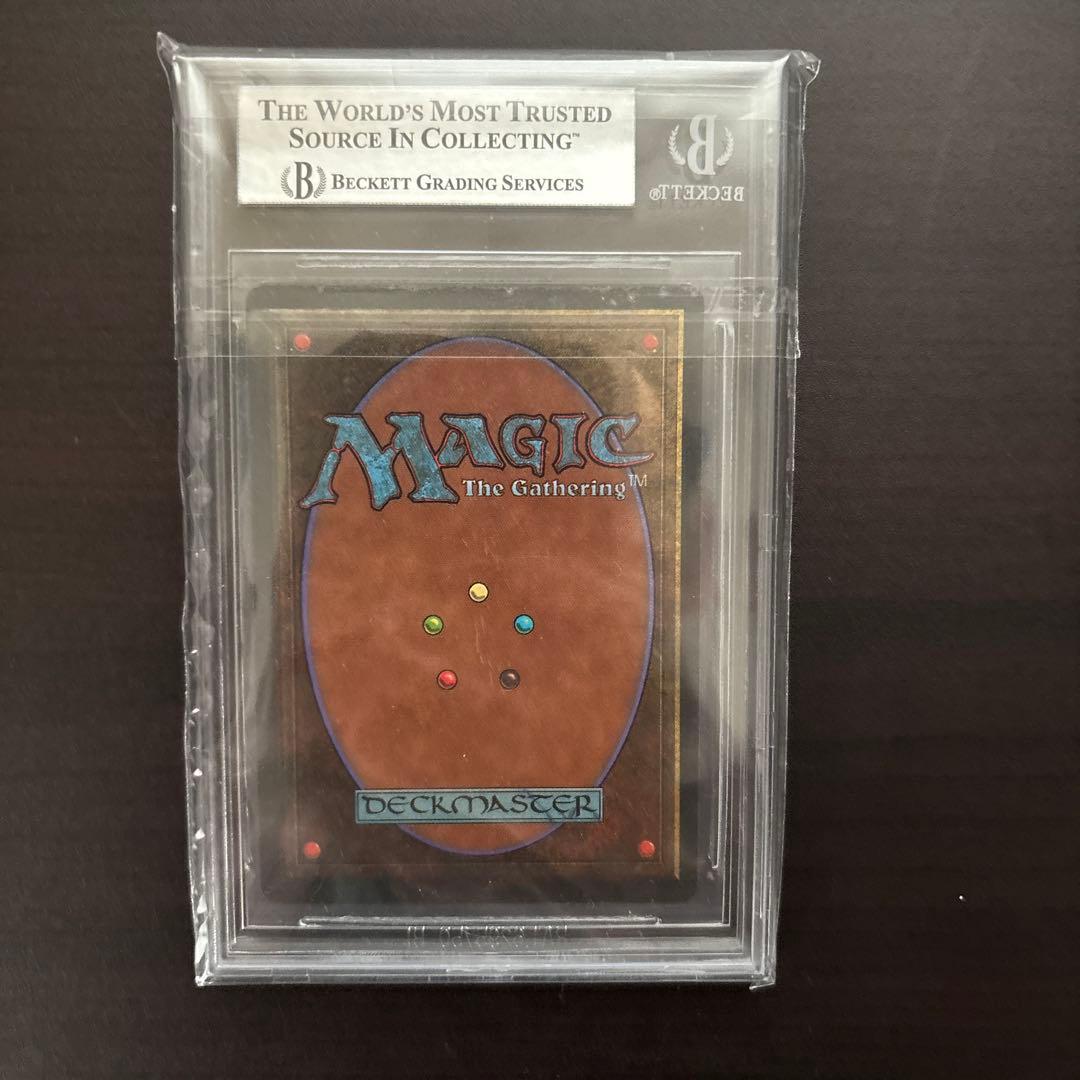 週末限定MTG Bayou デュアルランド