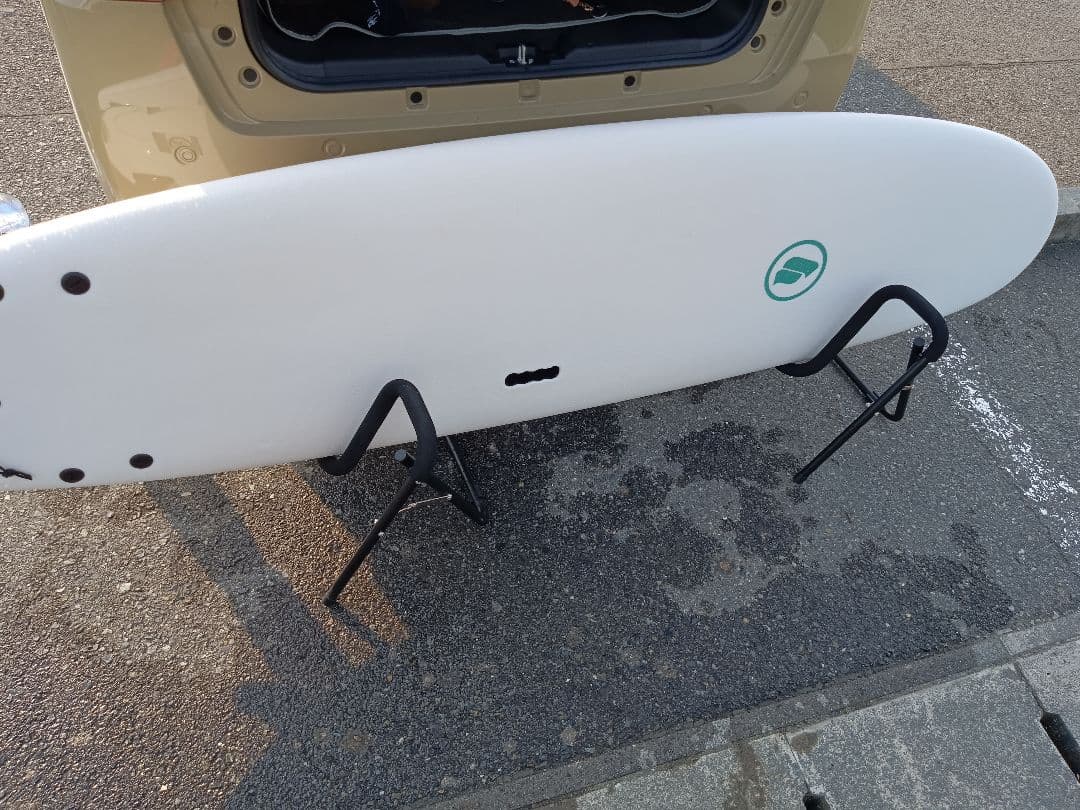 beach access ファンボード ホワイト