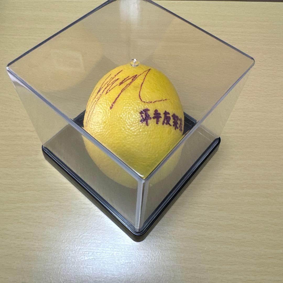 平手友梨奈 欅坂46 ザ・テレビジョン サイン入りレプリカレモン ※当選通知書付