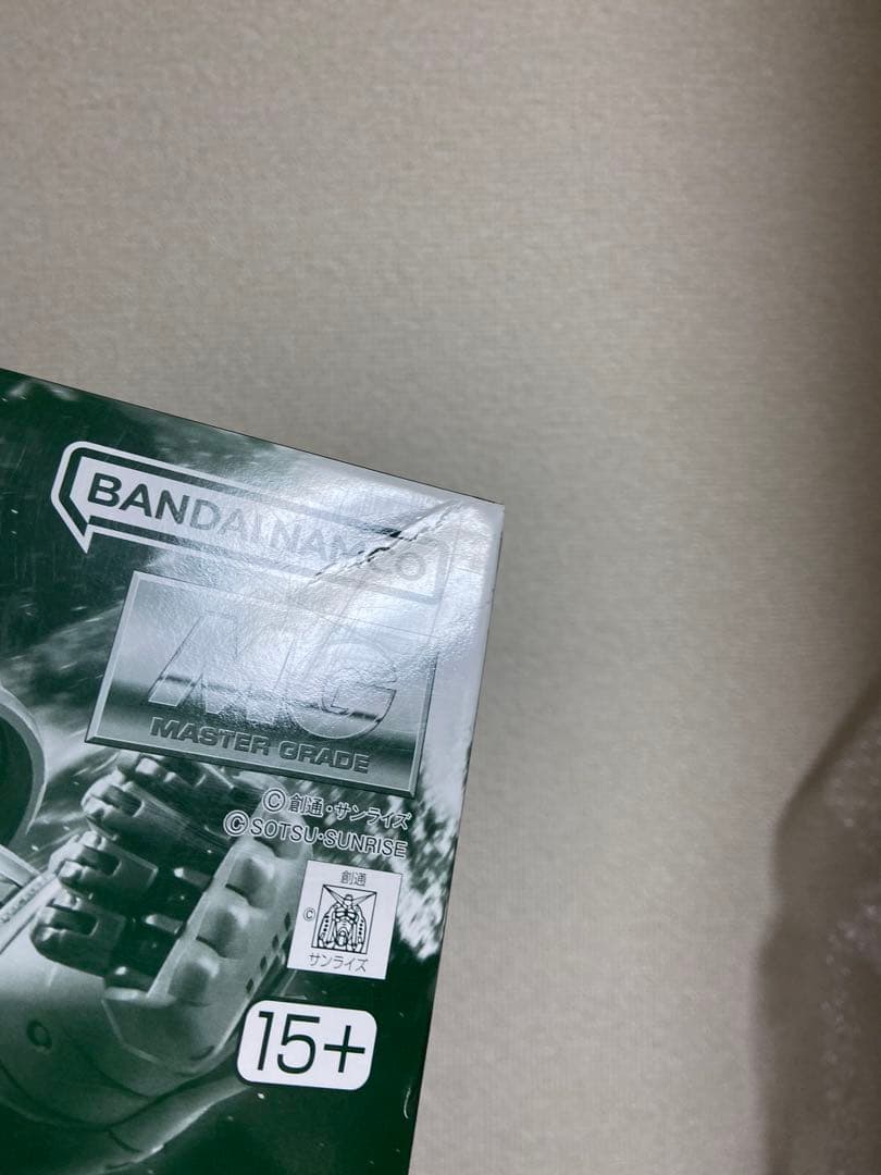 MG 1/100 ブレニフオグス専用ザクII