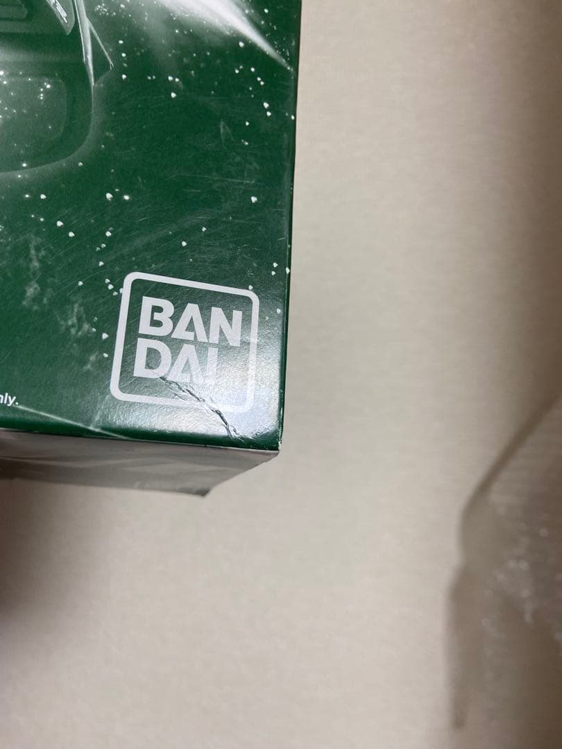 MG 1/100 ブレニフオグス専用ザクII