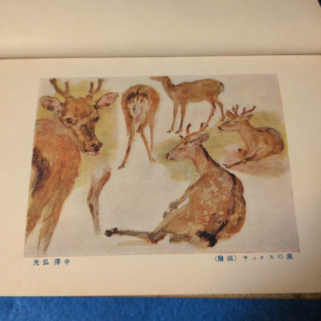 【1922年/大正11年】スケッチの描き方　中澤弘光　森脇忠