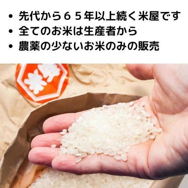 令和７年産 新米 「ふさこがね」10kg 千葉県の美味し減農薬米！