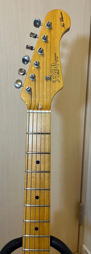 Fujigen(FGN) Neo Cassic タイムレスティンバーネック