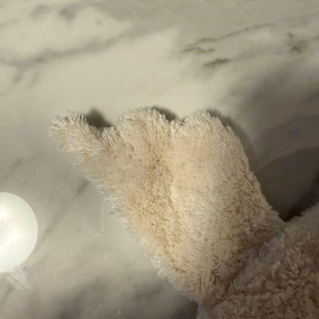 SENGER Naturwelt / ゼンガーナチュウェルト ガチョウ Sサイズ