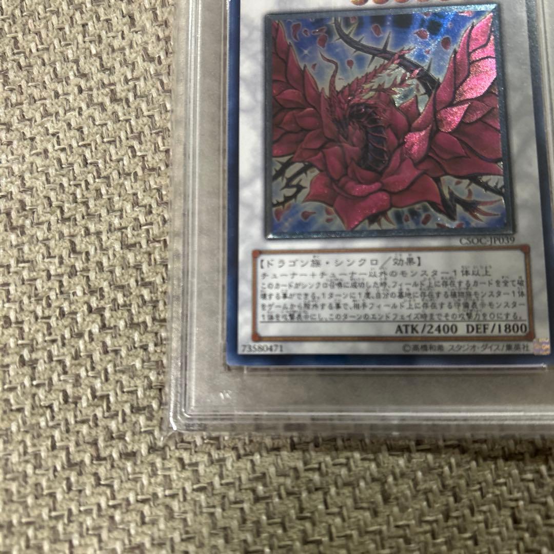 ブラック・ローズ・ドラゴン CSOC-ウルトラレア PSA10