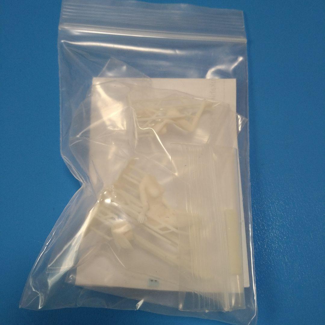 【フォロー割】1/35、1/24シャークフィン「クメン編フィアナ」WF2026冬