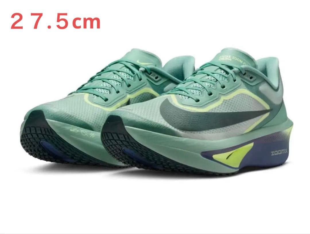 新品ナイキ Nike ズーム フライ 6ランニングシューズ FN8454-003