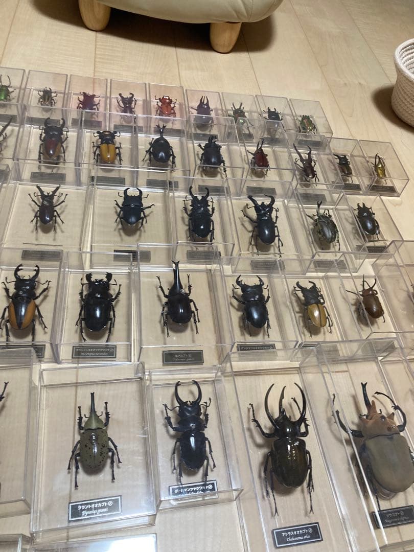 ディアゴスティーニ世界の昆虫全64種コンプリート　クワガタカブトムシ　フィギュア