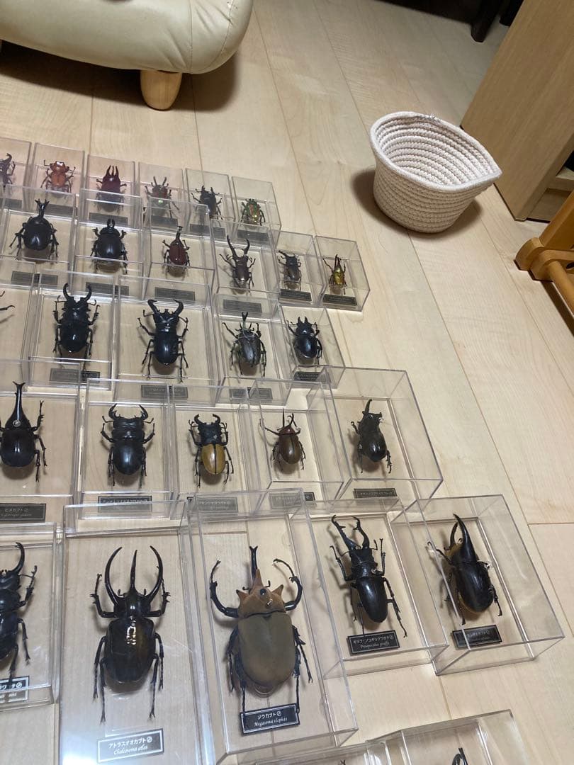 ディアゴスティーニ世界の昆虫全64種コンプリート　クワガタカブトムシ　フィギュア