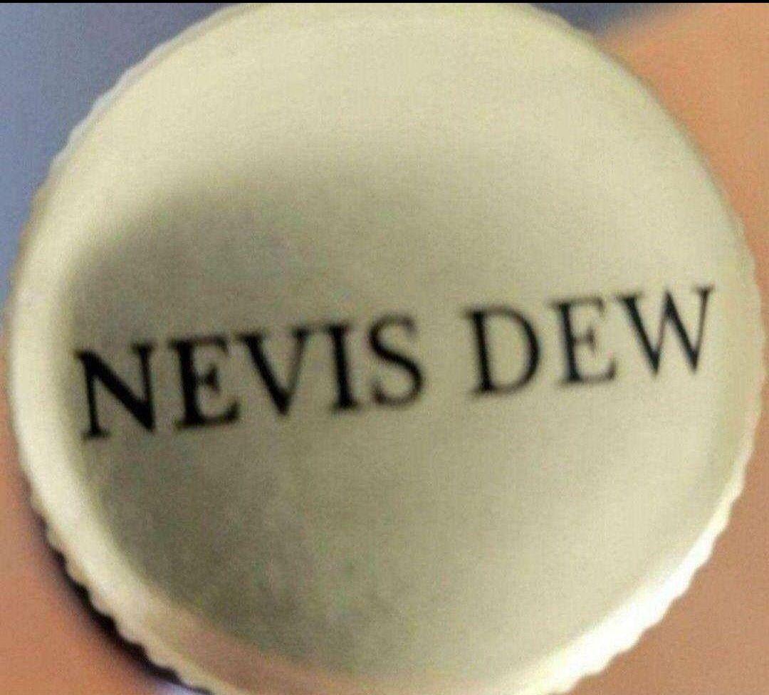 新品未開封【NEVIS DEW】×10本(700ml)