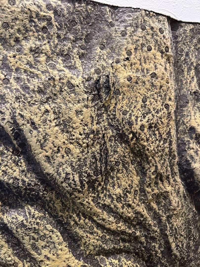 グラステラリウム 9045 爬虫類飼育ケージ　※配送不可、引き取り専用※