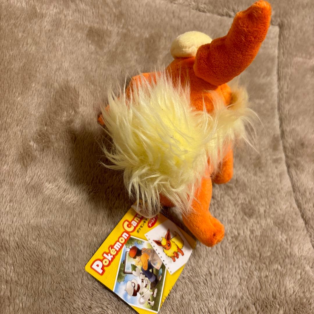 ポケモンセンター　ブースター　キャンバス　ぬいぐるみ