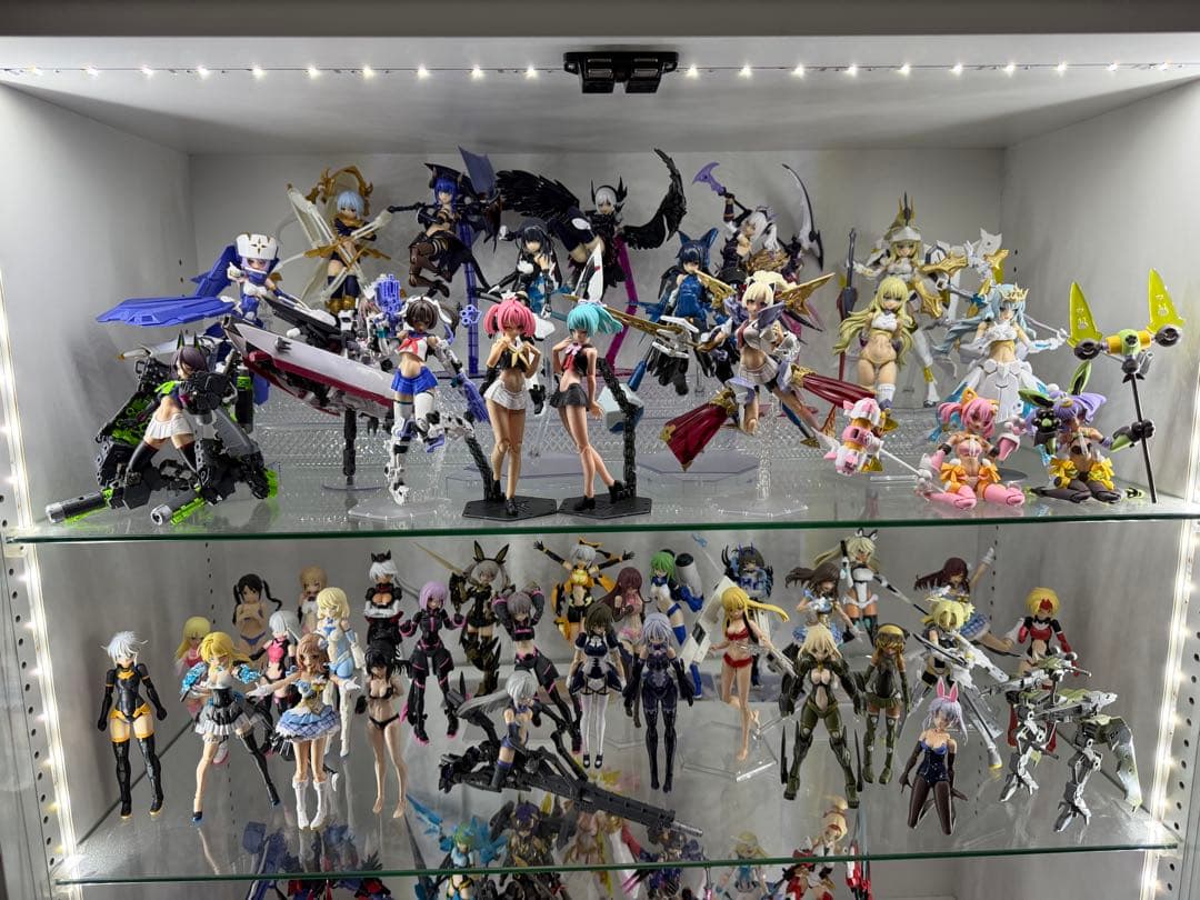 ナ*シ様 美プラ（メガミデバイス アルカナディア FAG 30MS）ジャンク引退