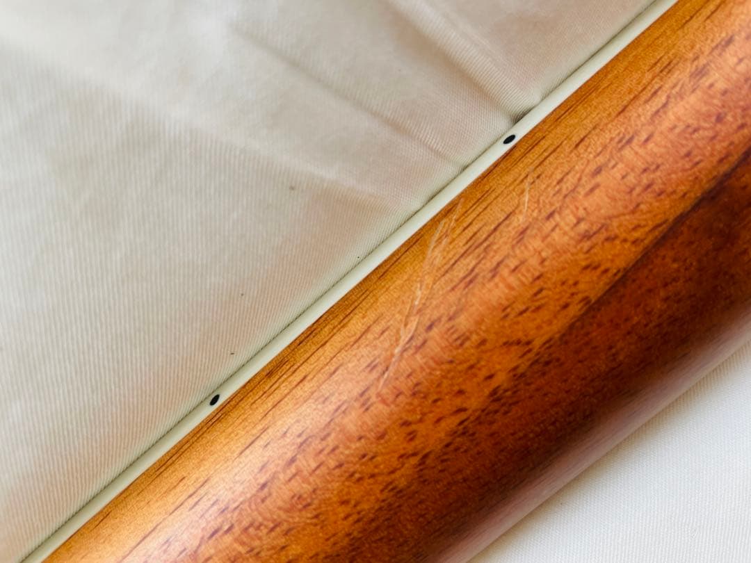 マスタークラフト　ミニエレアコギター