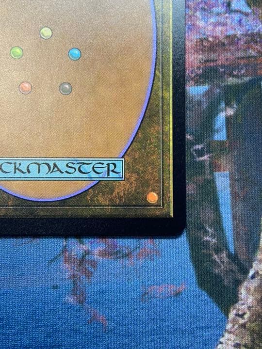 MTG タルモゴイフ　Tarmogoyf EN UBT   foil 美品