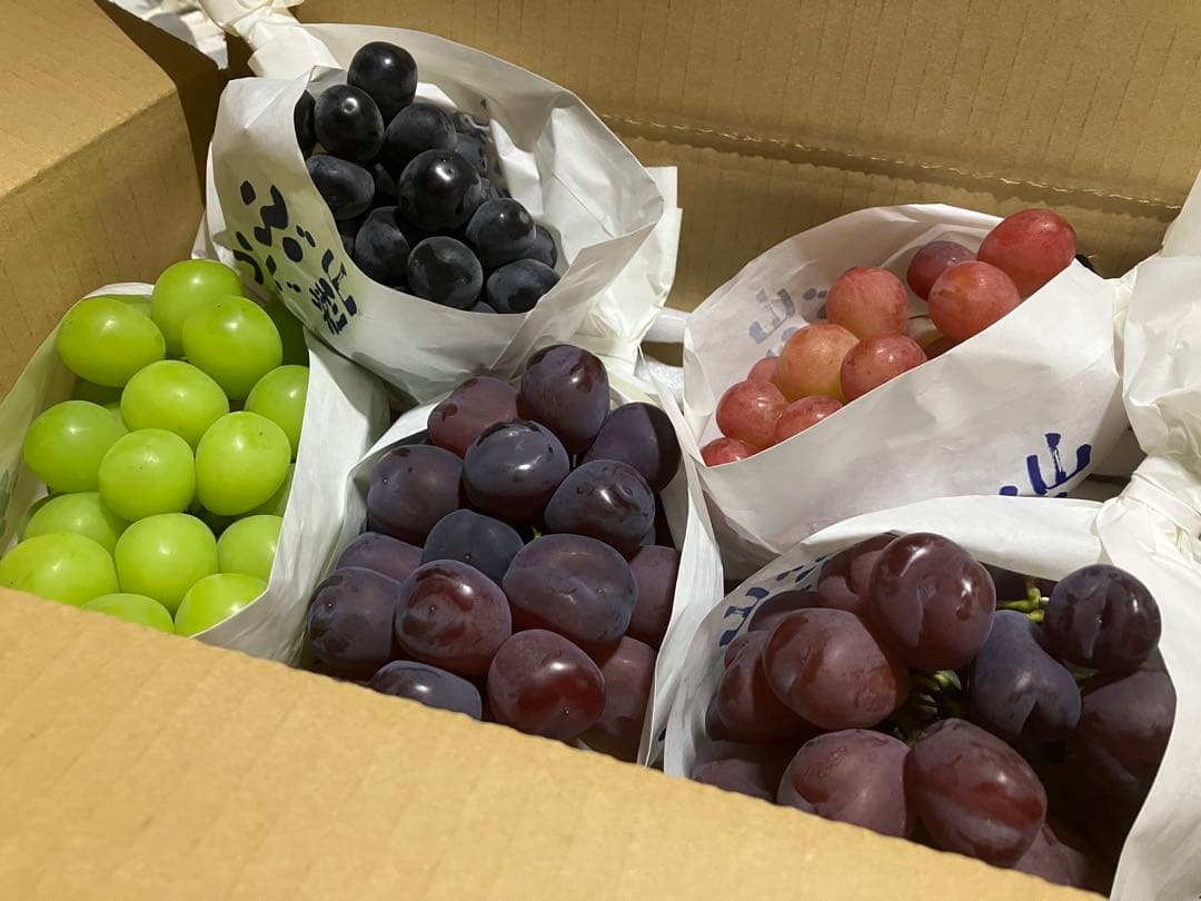 サンシャインレッド、富士の輝き、マスカットノアール、マイハートシャインマスカット