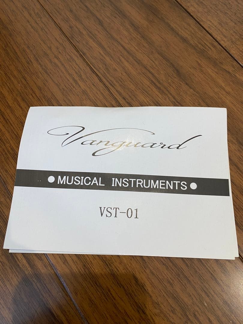エレキギター　Vanguard（バンガード）VST-01