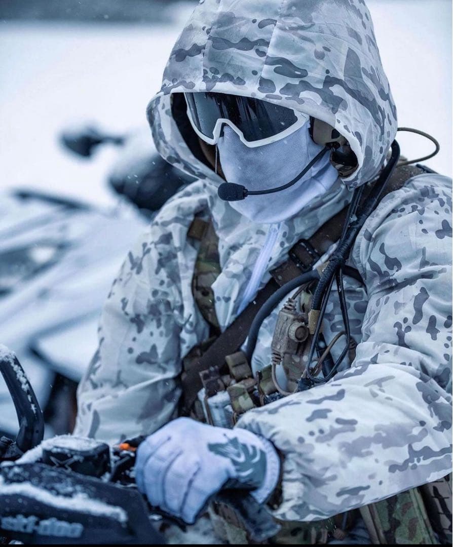 実物 PIG グローブ multicam alpine マルチカム　アルパイン