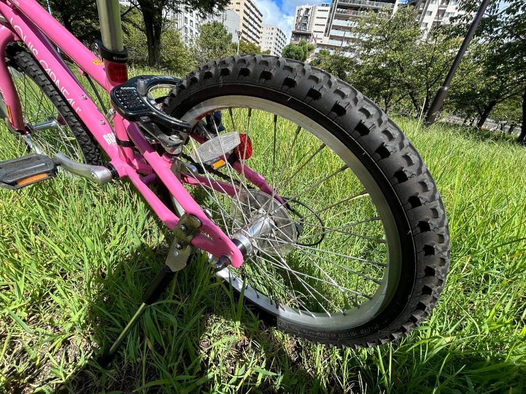 ルイガノ LGS－Ｊ２０６ 6段変速ギヤ 色：ピンク