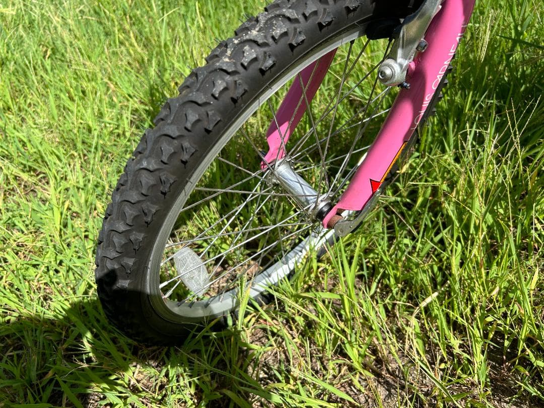 ルイガノ LGS－Ｊ２０６ 6段変速ギヤ 色：ピンク