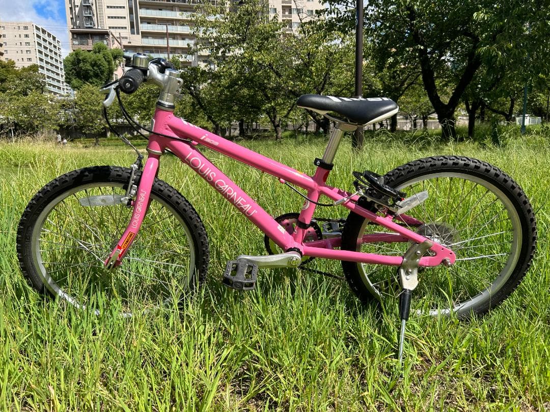 ルイガノ LGS－Ｊ２０６ 6段変速ギヤ 色：ピンク