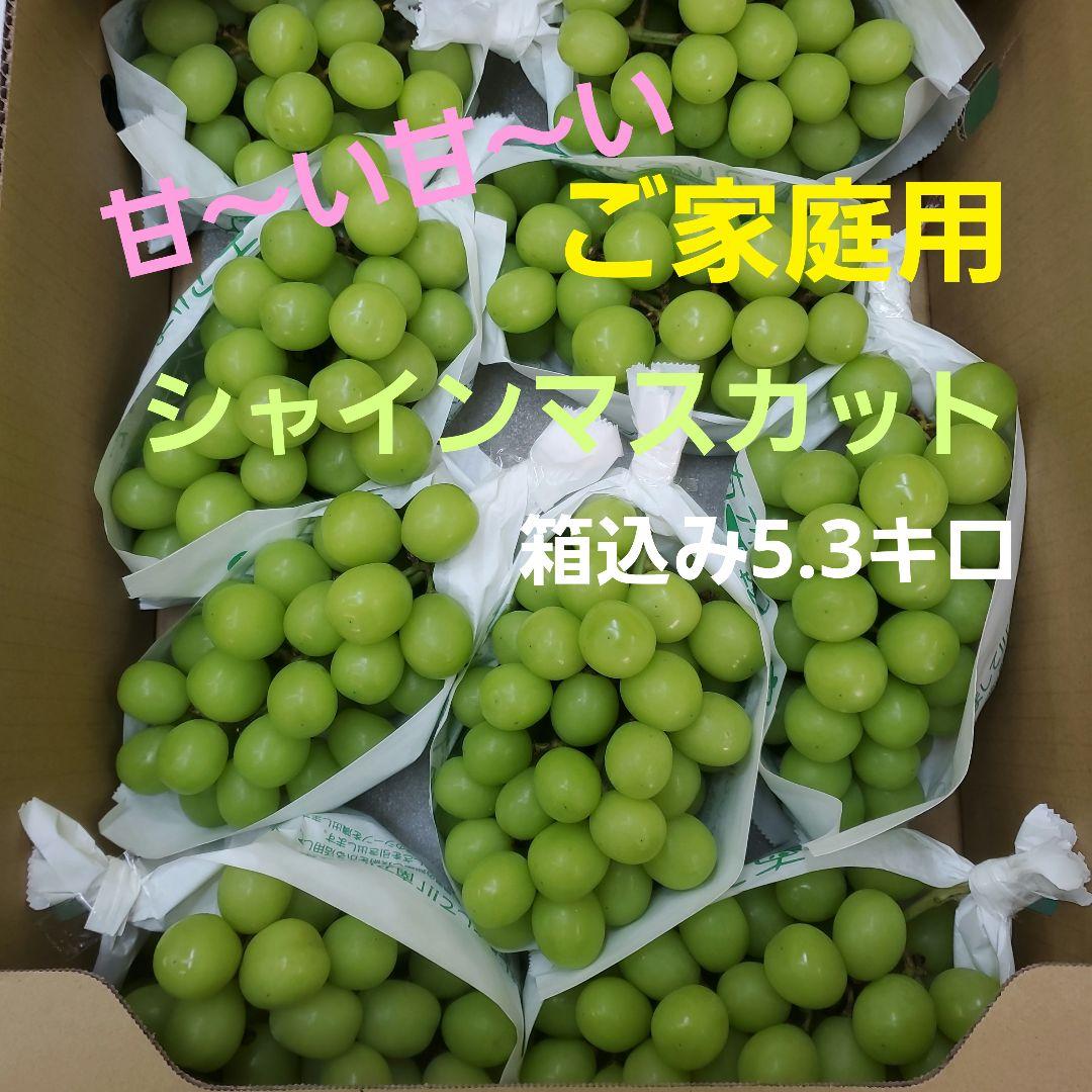 1⃣2️⃣ 山梨県産 シャインマスカット ９房入り 箱込み5.3キロ