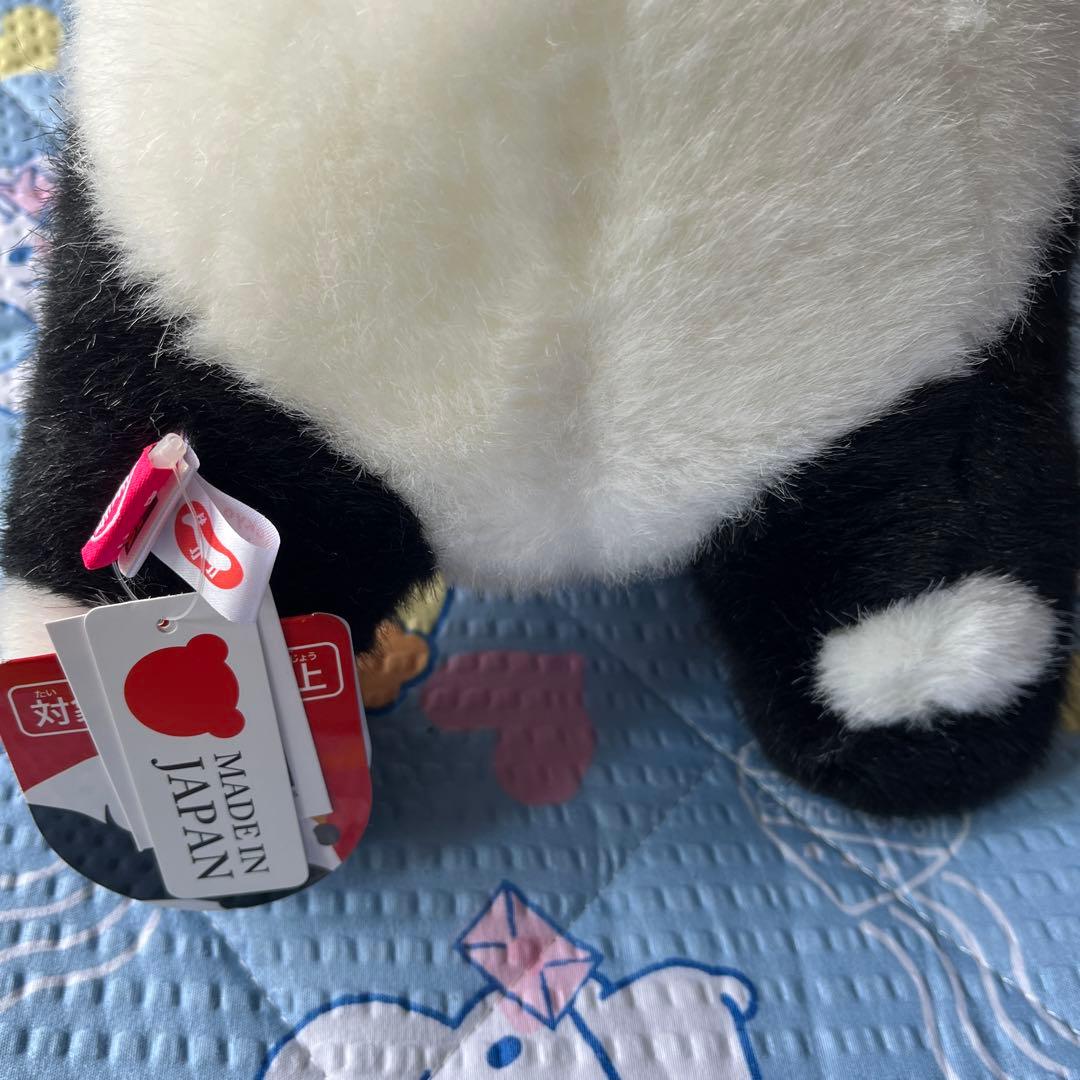 箱入りシャンシャン