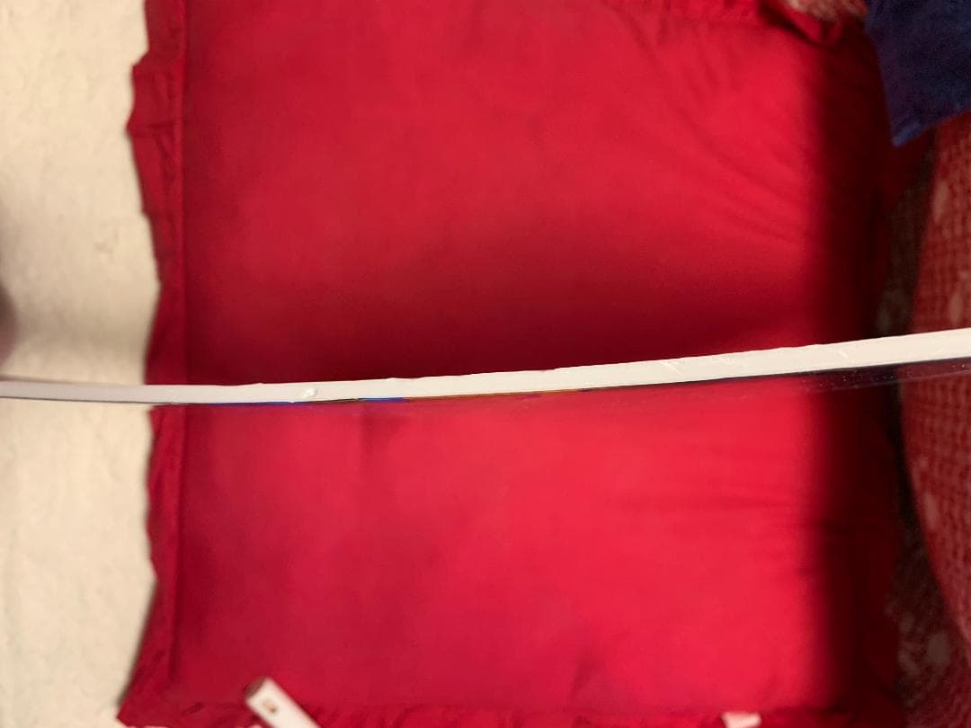 非売品 池田イライザ パネル