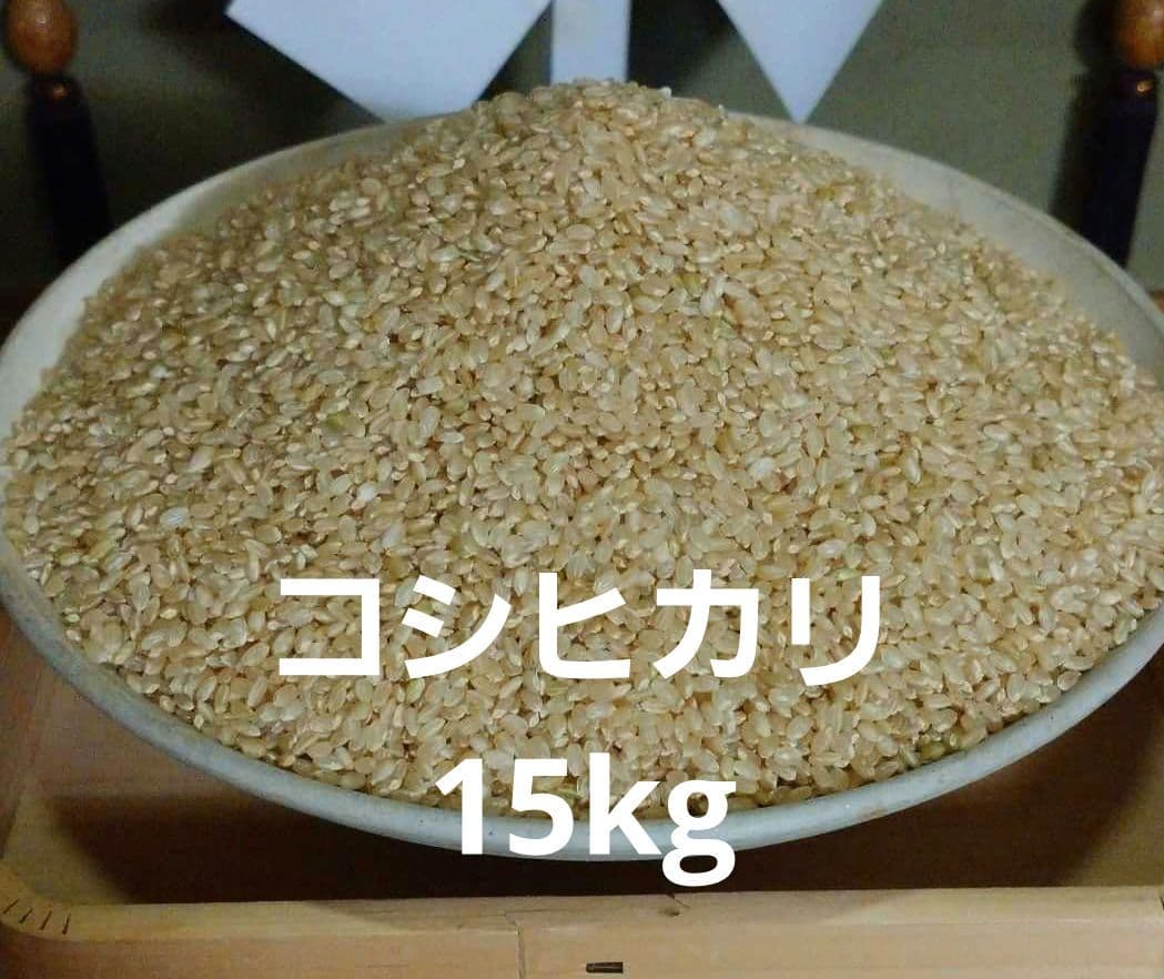 令和7年度　コシヒカリ15kg