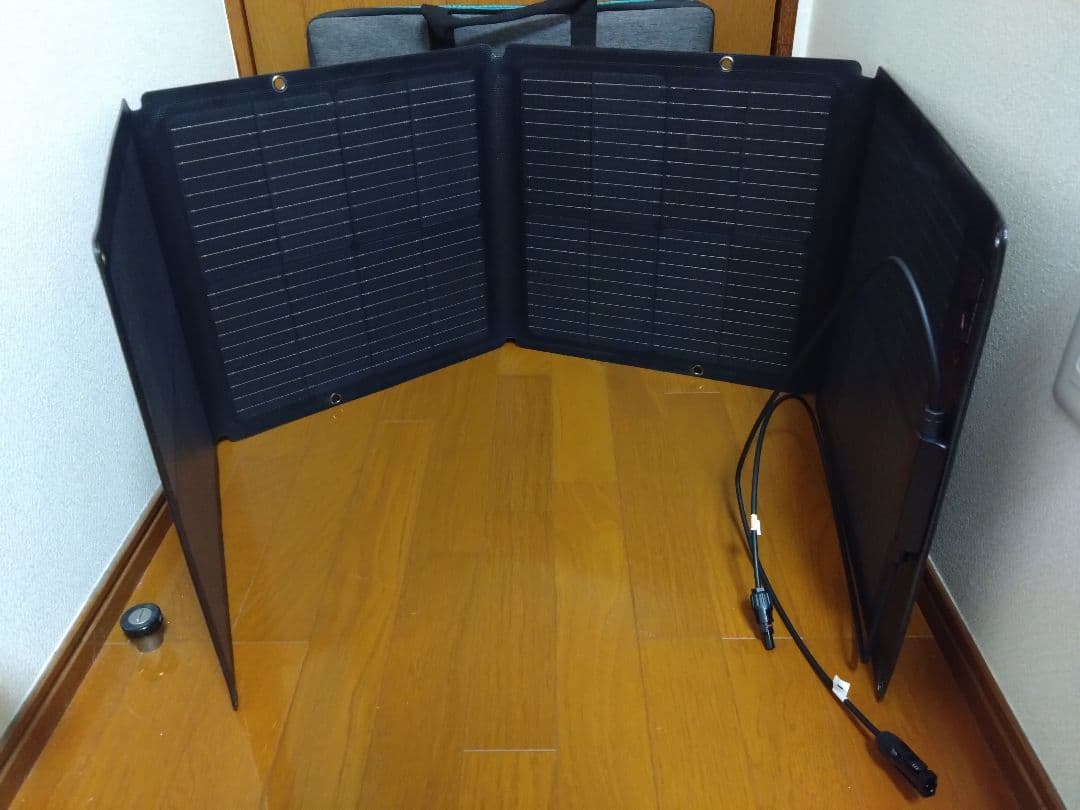 EcoFlow 2 ポータブル電源 ソーラーパネル付き 新品未使用