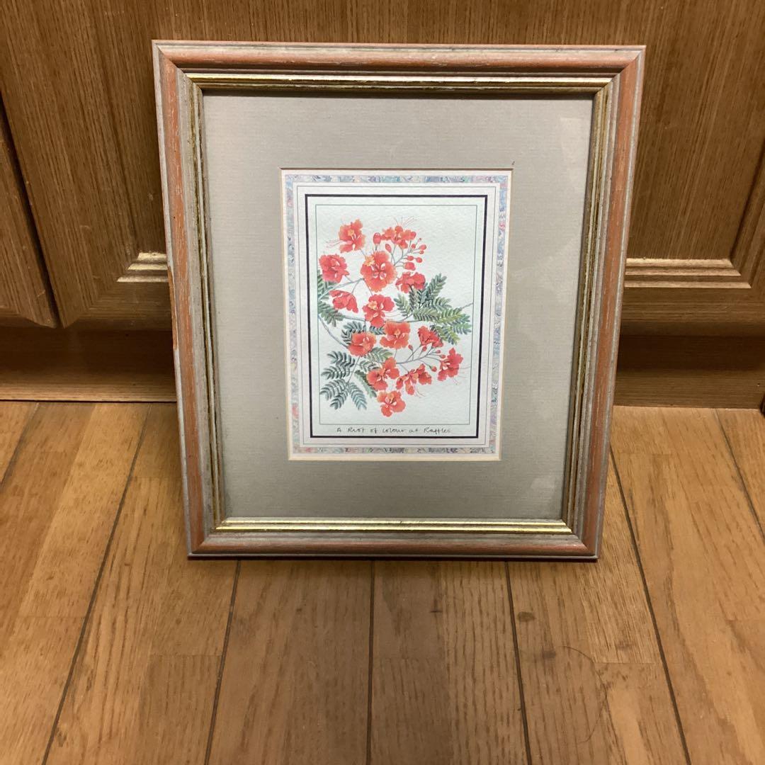 シンガポール　ラッフルズホテル購入作品　【ピーコックフラワー】　額装　 即決品