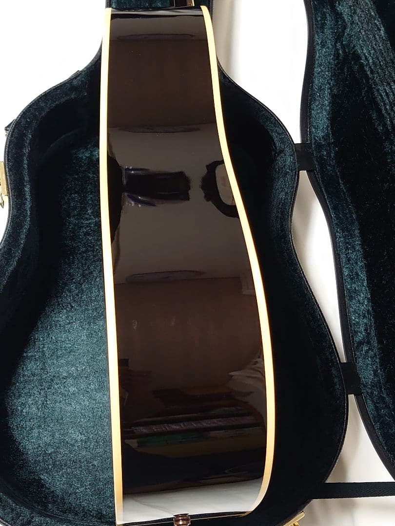 【エレアコ仕様】HISTORY NT-L4 L.R.Baggsピックアップ付