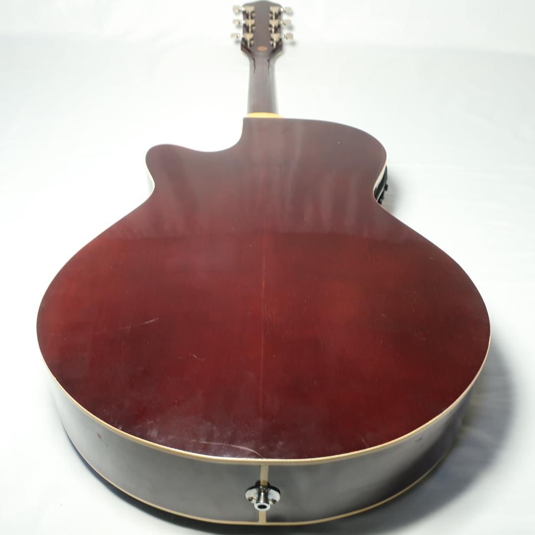 Pro Martin EAW-350 WRS エレアコ ギター ケース付