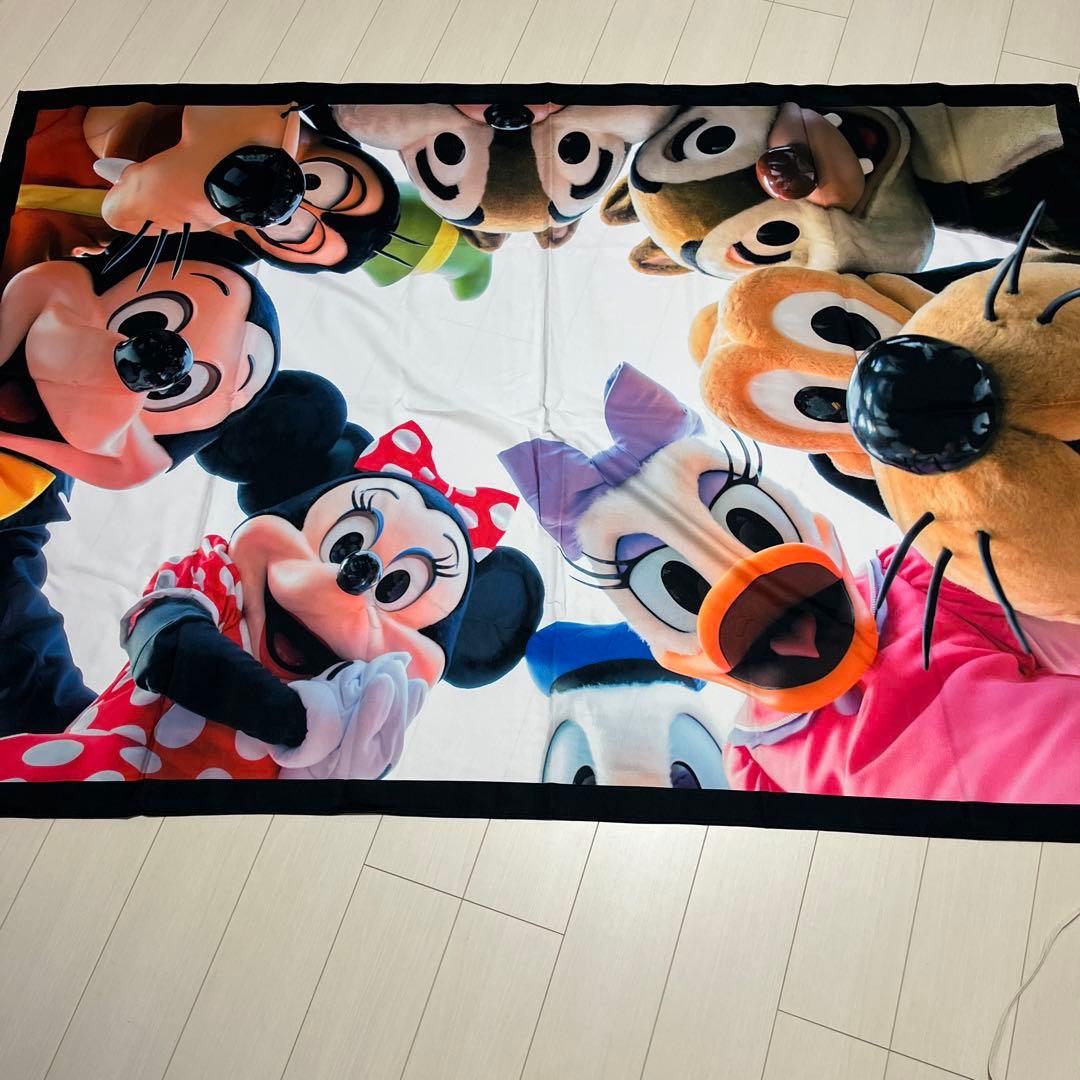 ディズニー　実写　タペストリー　imagining the magic