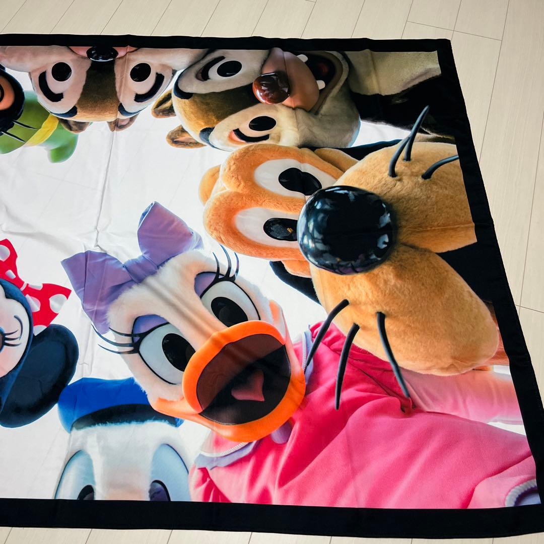 ディズニー　実写　タペストリー　imagining the magic