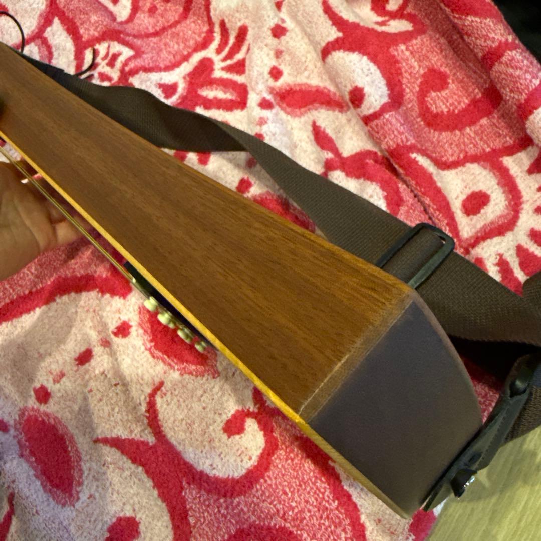 Martin Backpackar ギター