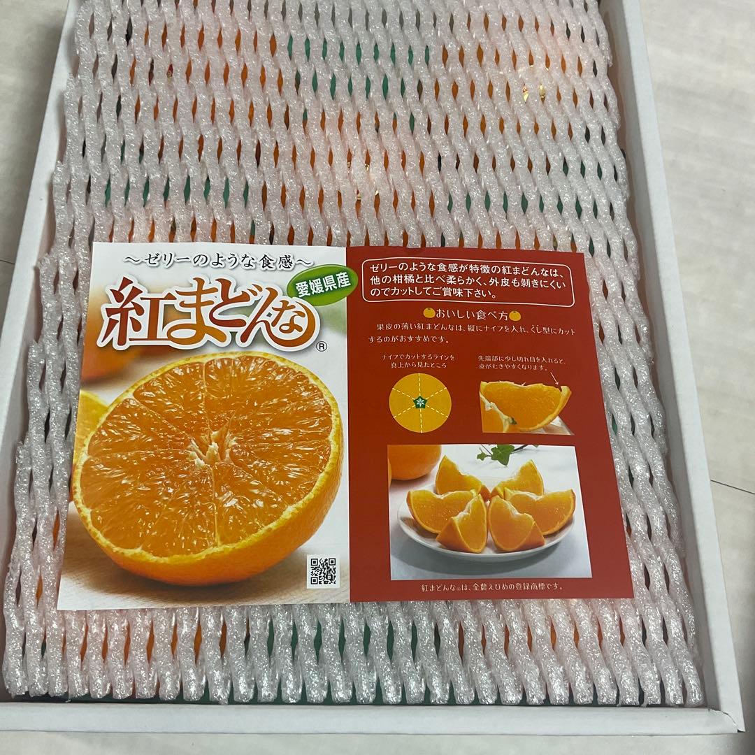 愛媛県産 紅マドンナ 高級フルーツ みかん 紅まどんな。