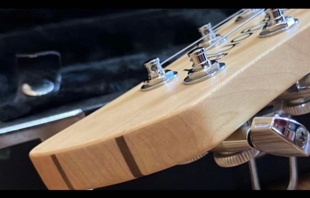 ぽーさん様　dragonfly jaguar666 最終出品　1/25まで