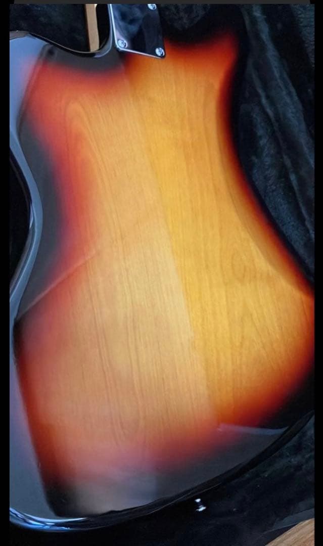 ぽーさん様　dragonfly jaguar666 最終出品　1/25まで